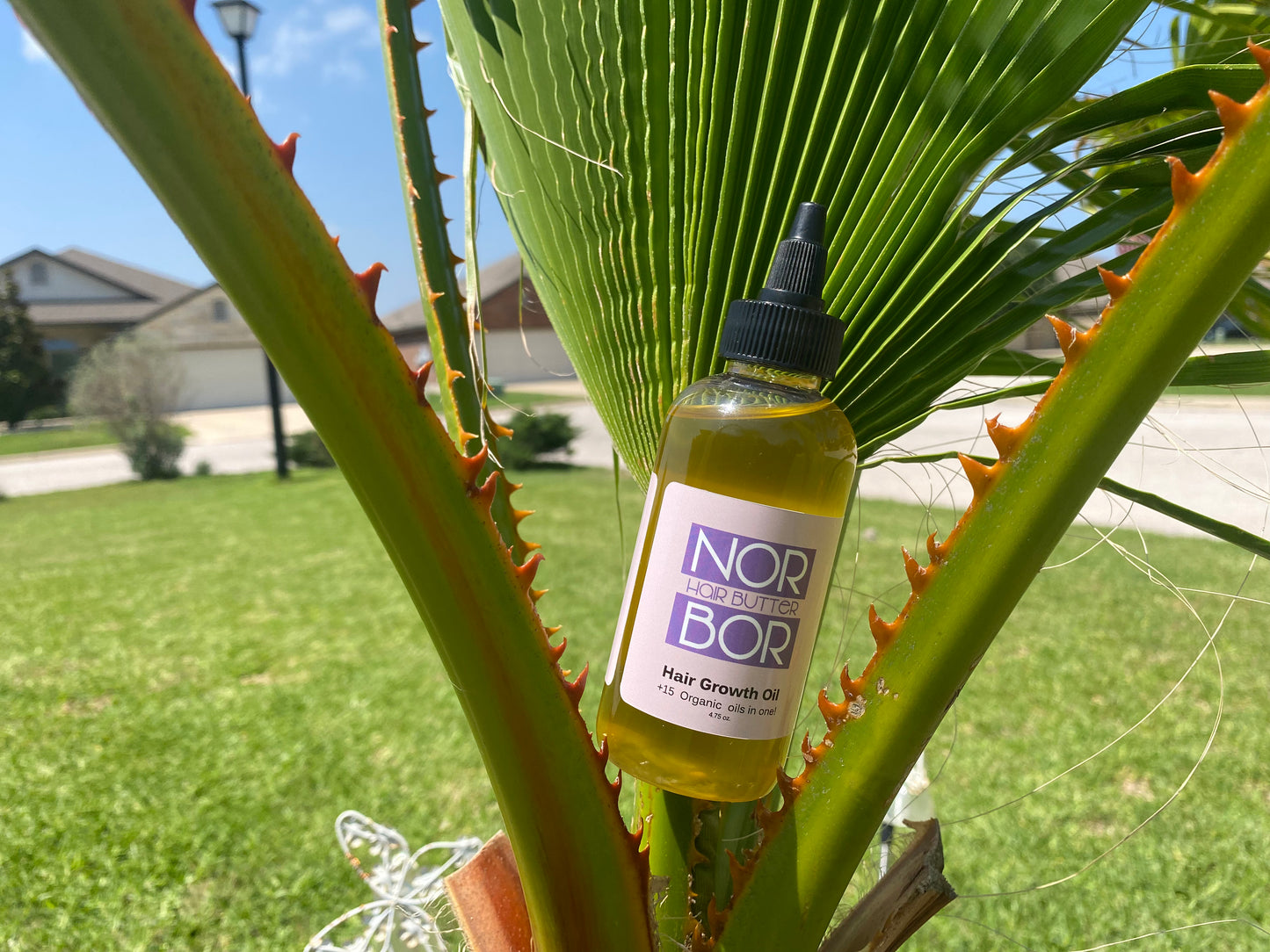 NORBOR BEAUTY - Organic Hair Growth Oil